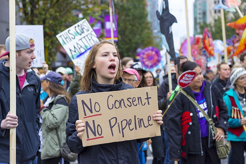 Pipeline protest Image William Chen