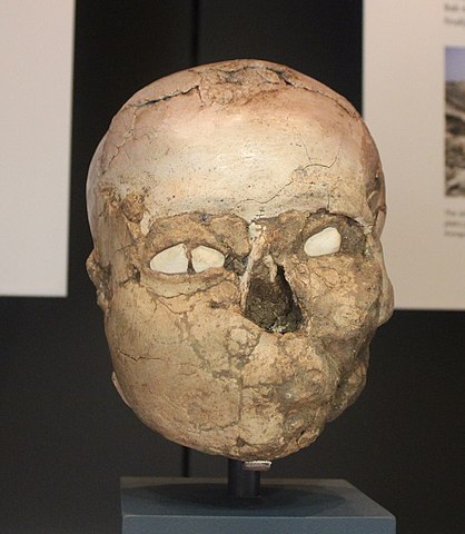 Plastered skull from Jericho Image Zunkir Wikimedia Commons