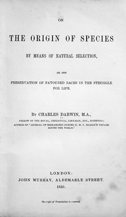 Origin of Species book cover