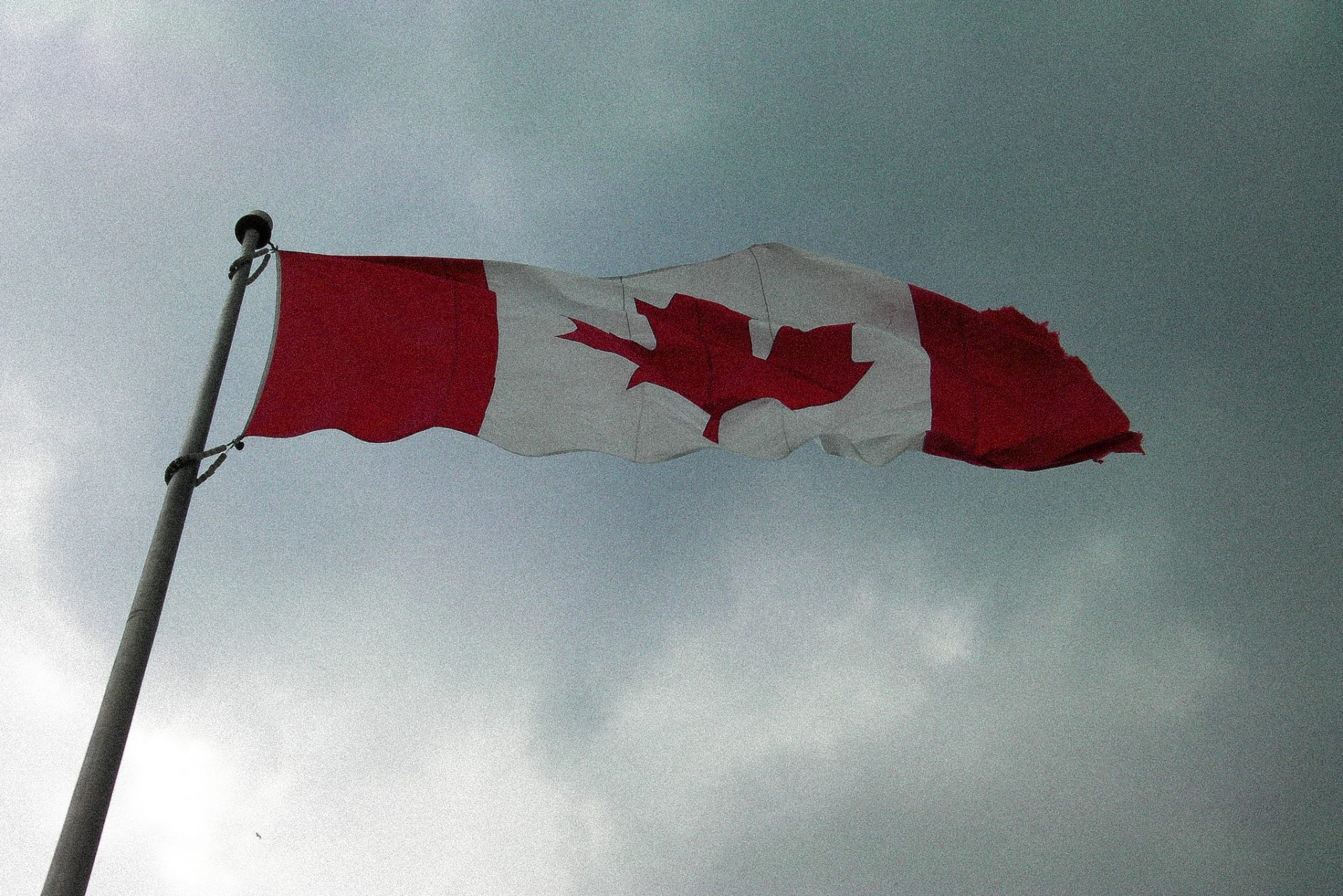 Canada Flag Image 1websurfer Flickr