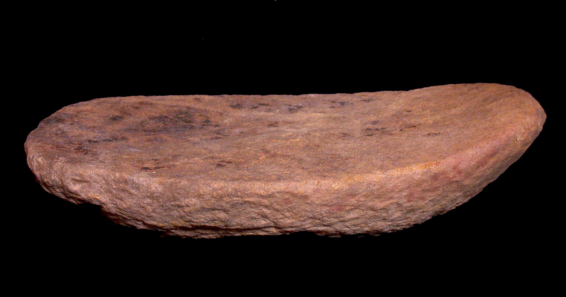 來自阿布·胡賴拉(Abu Hureyra)的一塊磨石，它用於研磨世界上最古老的馴化谷 物。//圖片來源：The Portable Antiquties Scheme/ The Trustees of the Brit- ish Museum