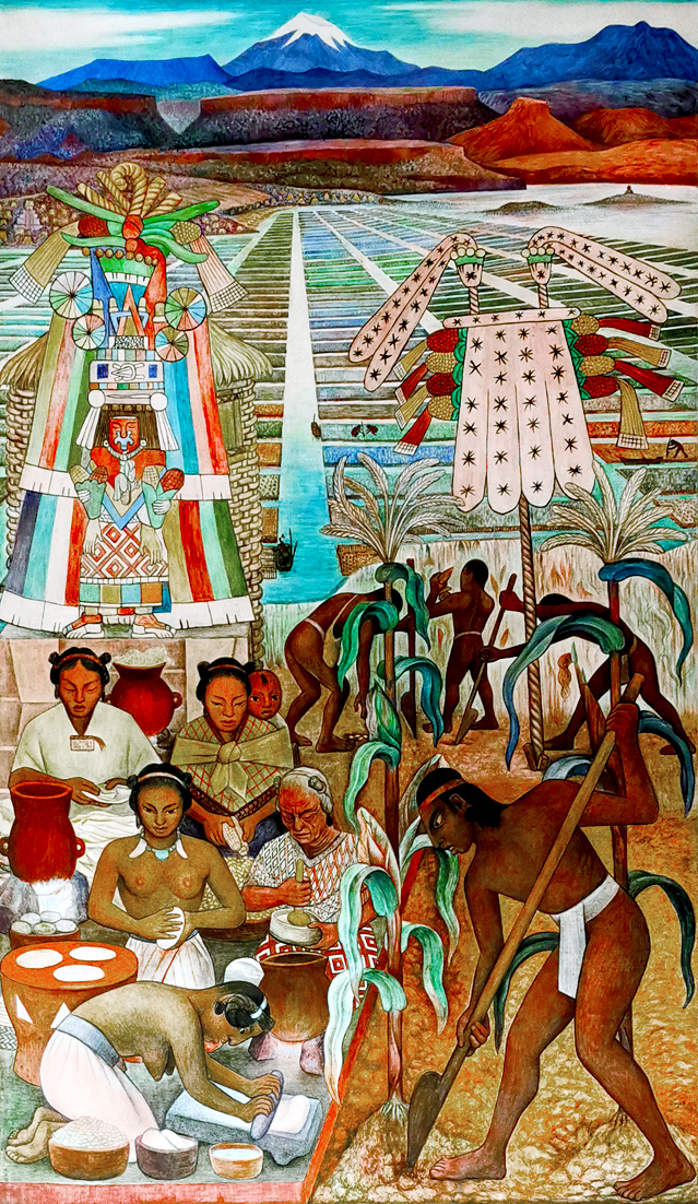 La Cosecha del cacao Diego Rivera