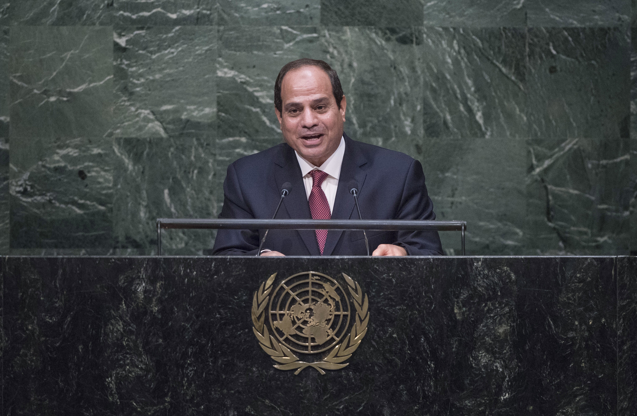 塞西政权为难民大量涌入埃及的风险已经做好了准备。//图片来源： United Nations Photo, Flickr