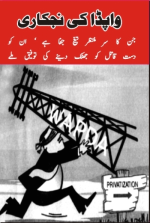War against the privatisation of WAPDA (Water And Power Development Authority) Pakistan